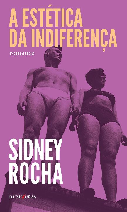 Livro Estética da indiferença, A