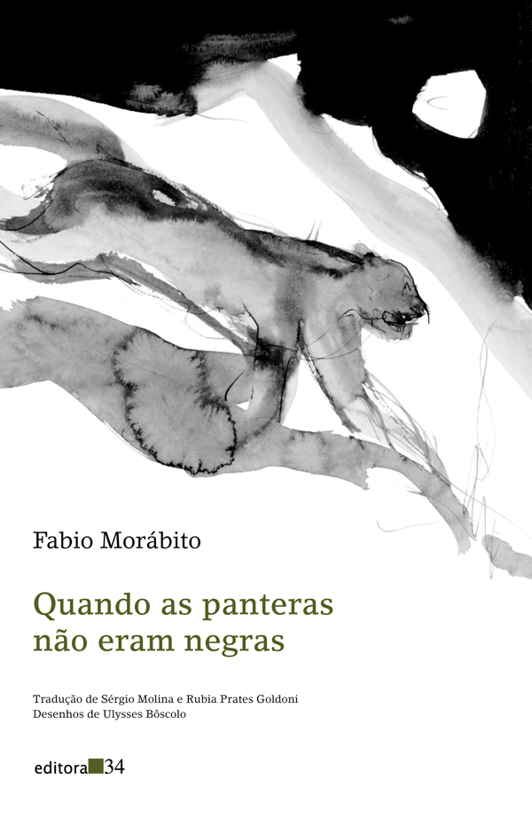 Livro Quando as panteras não eram negras