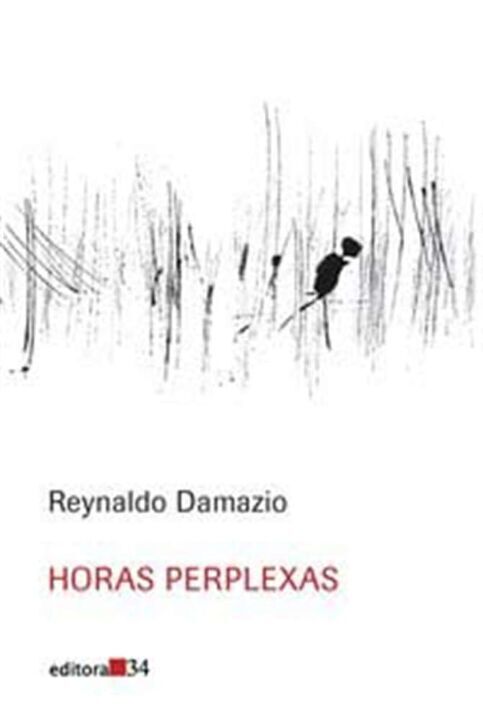 Livro Horas perplexas