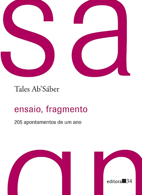 Livro Ensaio, fragmento: 205 apontamentos de um ano