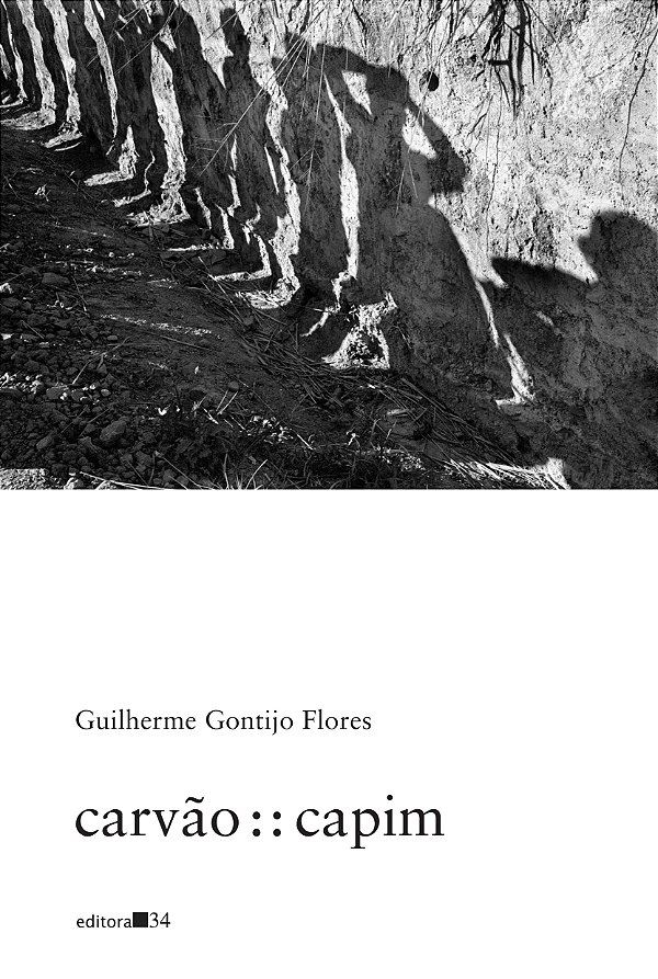 Livro carvão : : capim