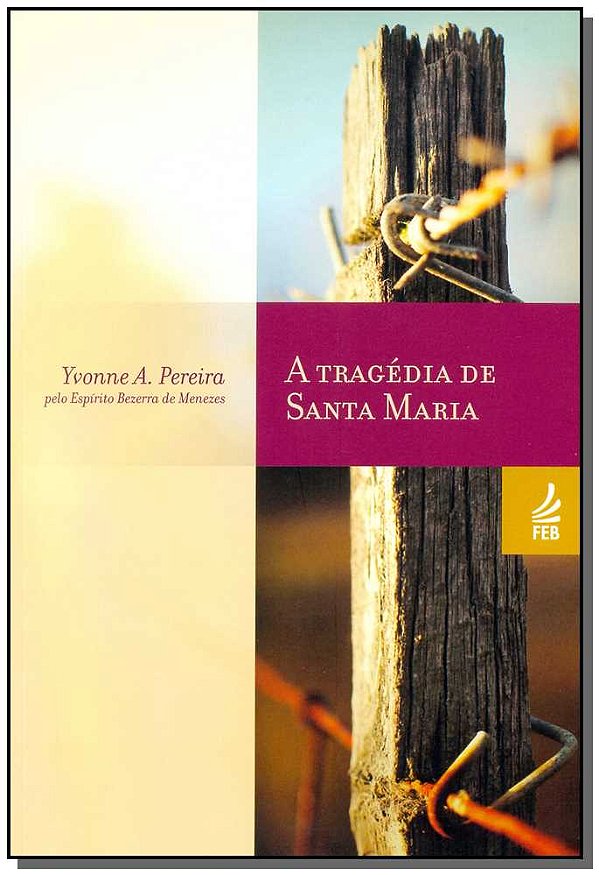 Livro A tragédia de Santa Maria