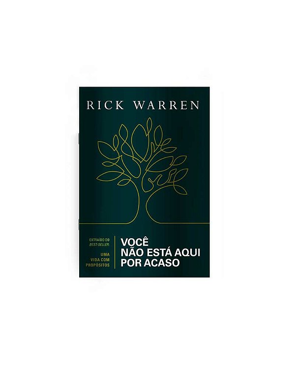 Livro Você não está aqui por acaso