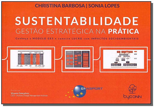 Livro Sustentabilidade Gestão Estratégica Na Prática