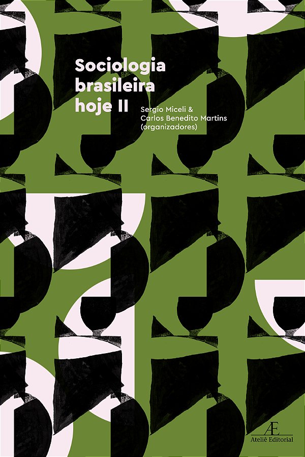 Livro Sociologia Brasileira Hoje II