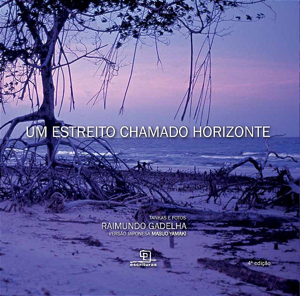 Livro Um estreito chamado horizonte