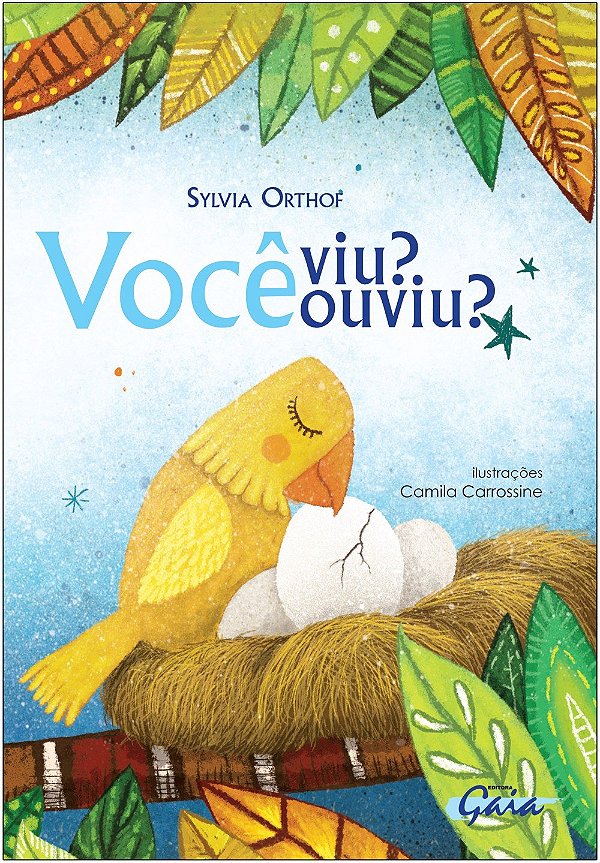 Livro Você viu? você ouviu?