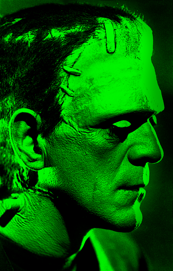 Livro Frankenstein