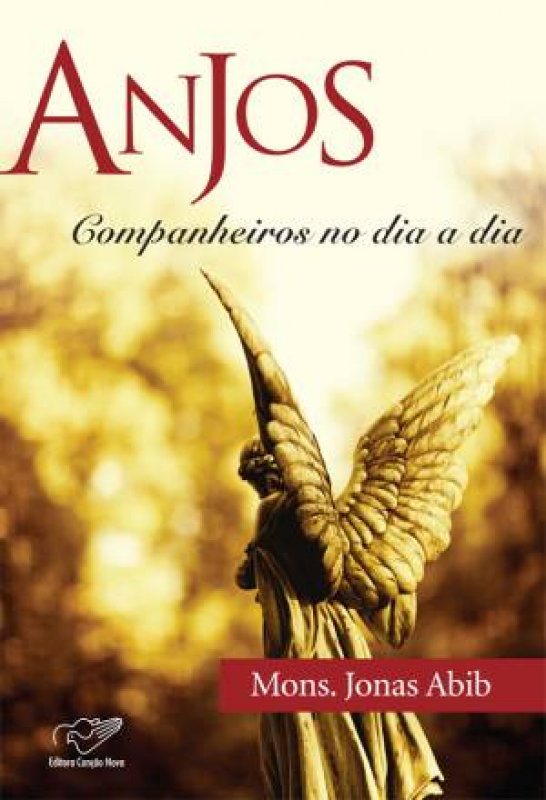 Livro Anjos Companheiros No Dia A Dia