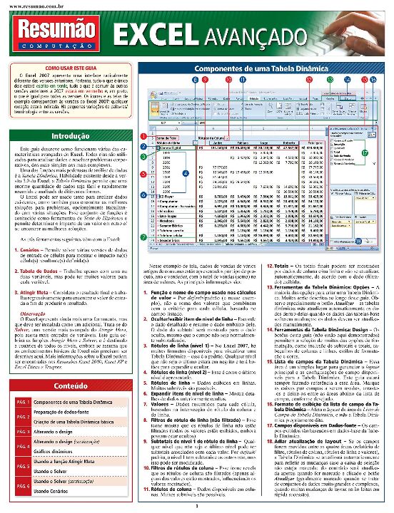 Livro Excel avançado
