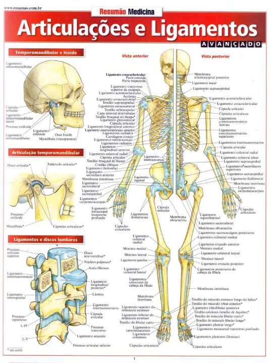 Livro Articulações e ligamentos avançado