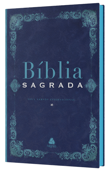 Bíblia Sagrada - NVI - Clássica - Com Plano Leitura