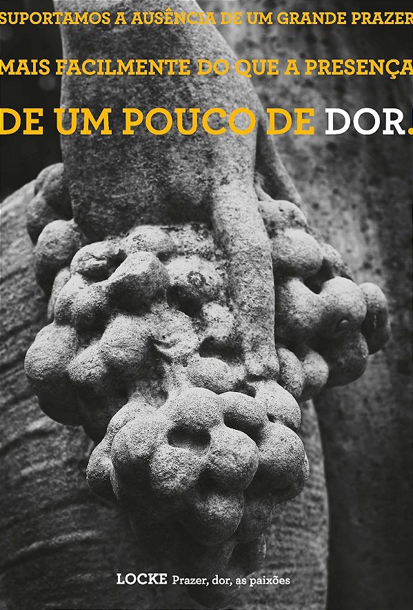 Livro Prazer, dor, as paixões
