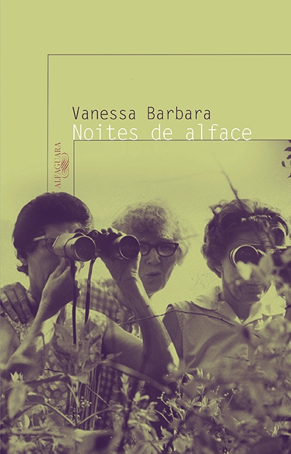 Livro Noites de alface