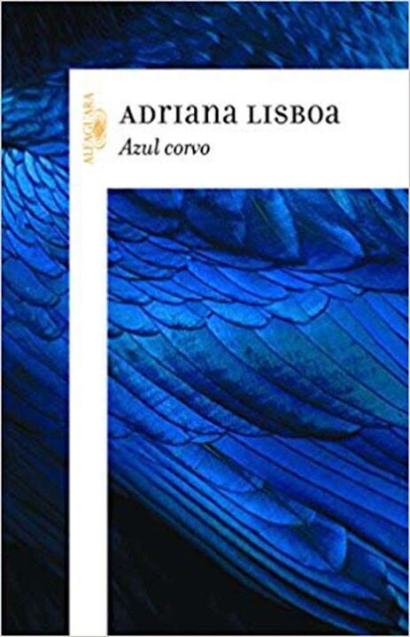 Livro Azul corvo