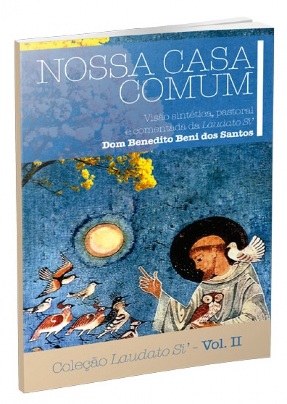 Livro Nossa Casa Comum - Coleção Laudato Si Vol. Ii