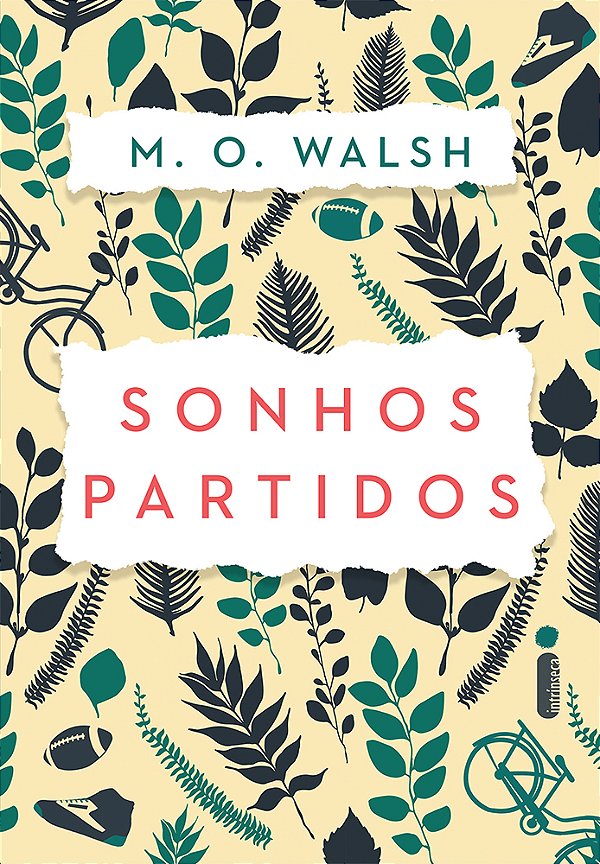 Livro Sonhos partidos