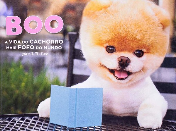 Livro Boo: A Vida De Cachorro Mais Fofo Do Mundo