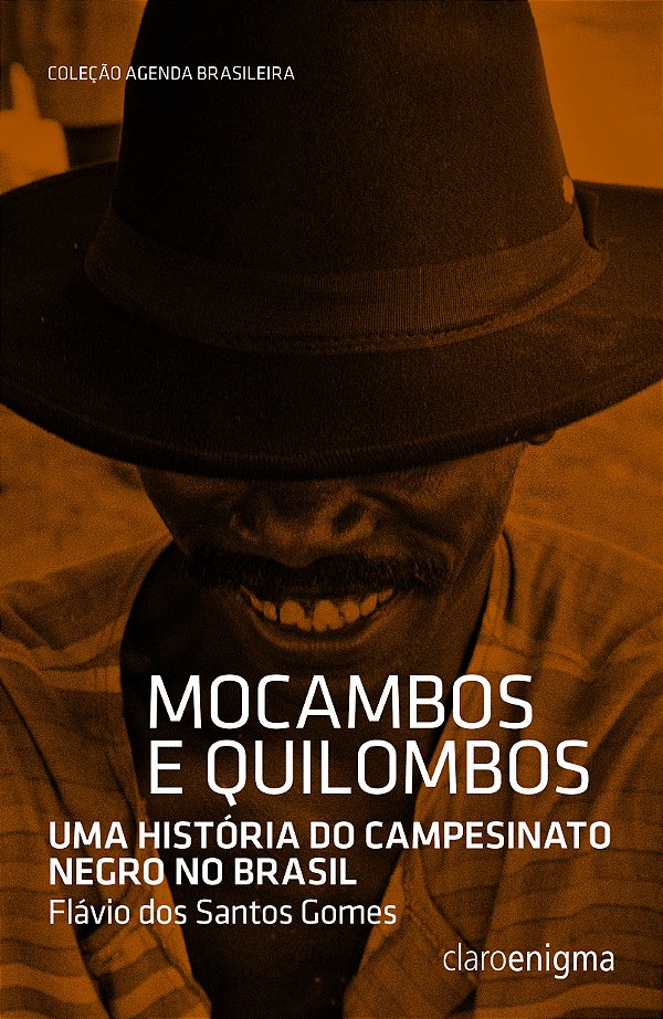 Livro Mocambos e quilombos