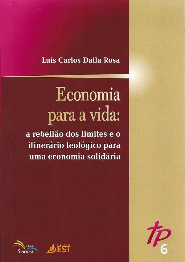 Livro Economia Para A Vida - Teologia Pública 6