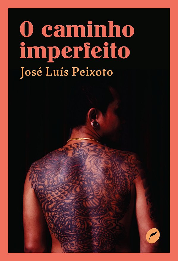 Livro O caminho imperfeito