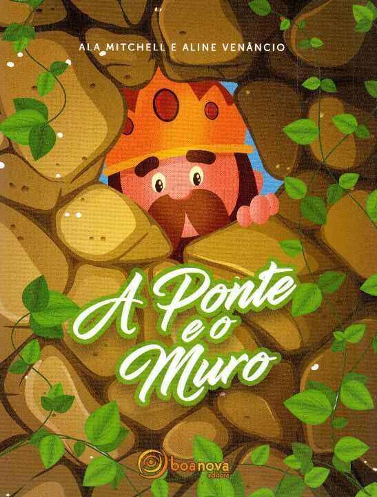 Livro A ponte e o muro