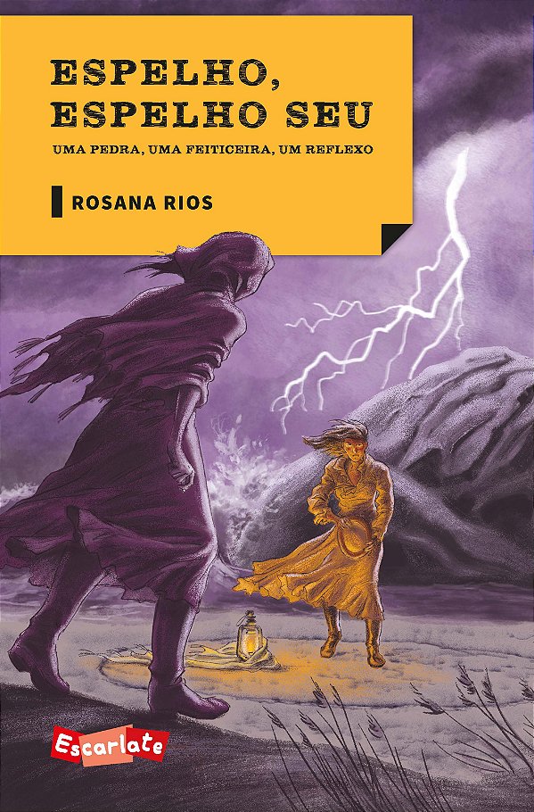 Livro Espelho, espelho seu