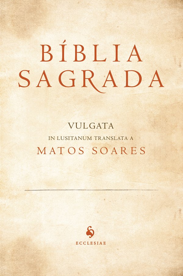 Livro Bíblia Sagrada - Capa Medieval