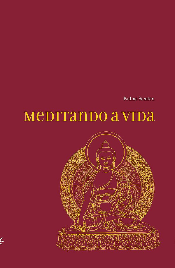 Livro Meditando a vida