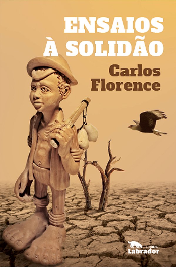 Livro Ensaios a solidão