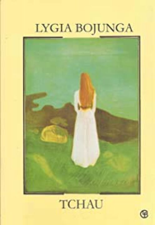 Livro Tchau