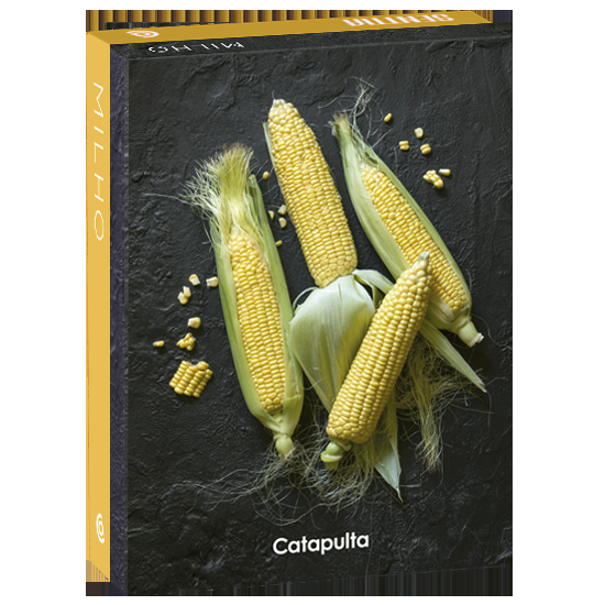 Livro Senttia milho