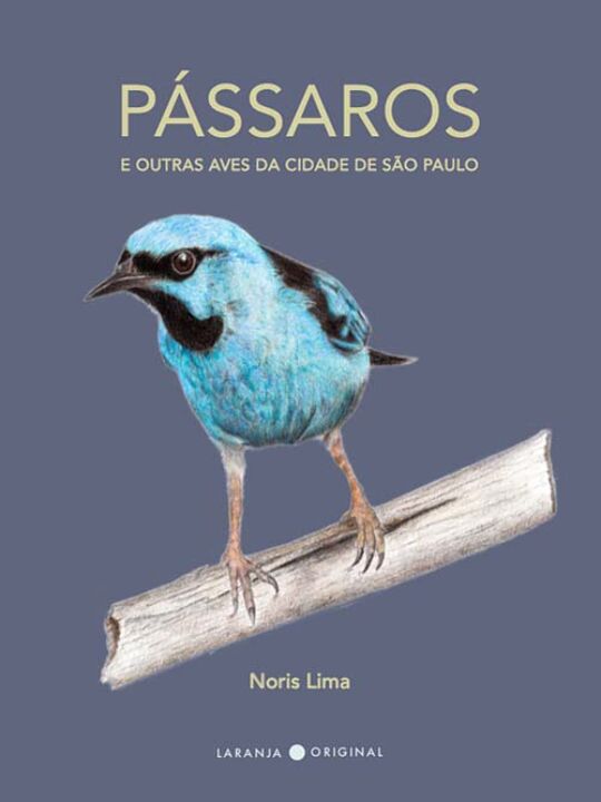 Livro Pássaros: da cidade de São Paulo