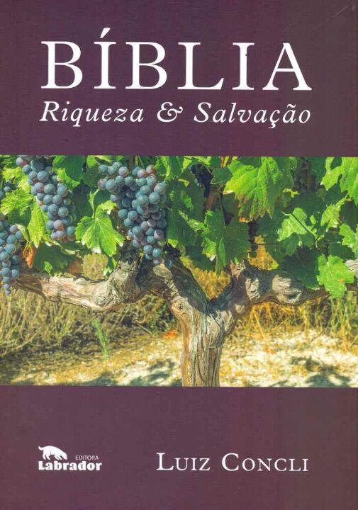 Livro Bíblia riqueza e salvação