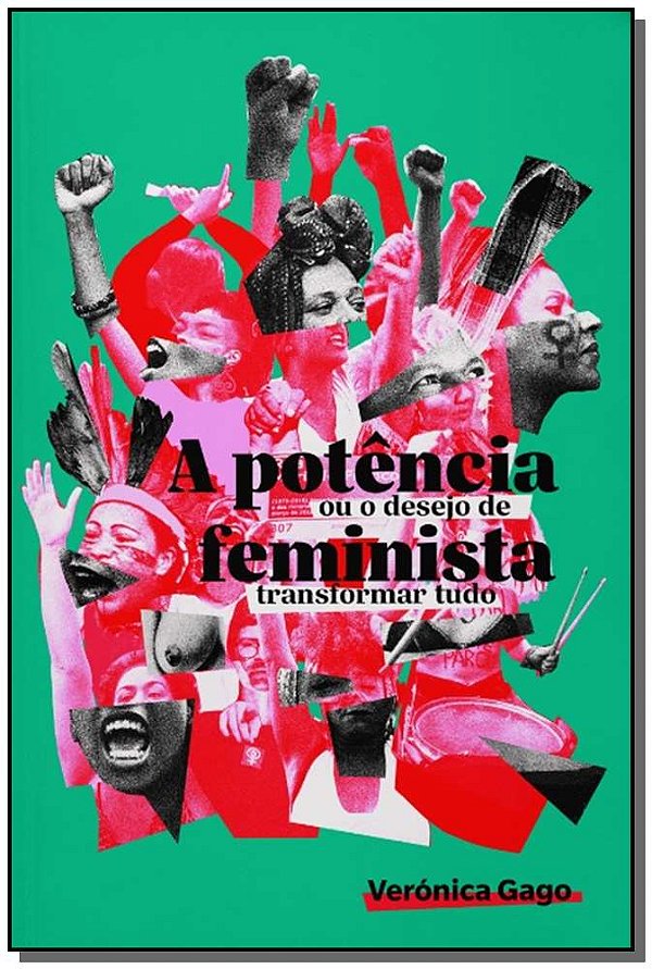 Livro A potência feminista, ou o desejo de transformar tu...