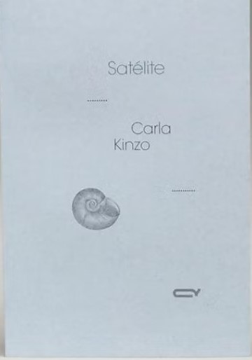 Livro Satélite