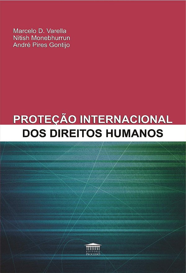 Livro Proteção internacional dos direitos humanos