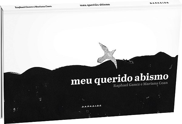 Livro Meu querido abismo