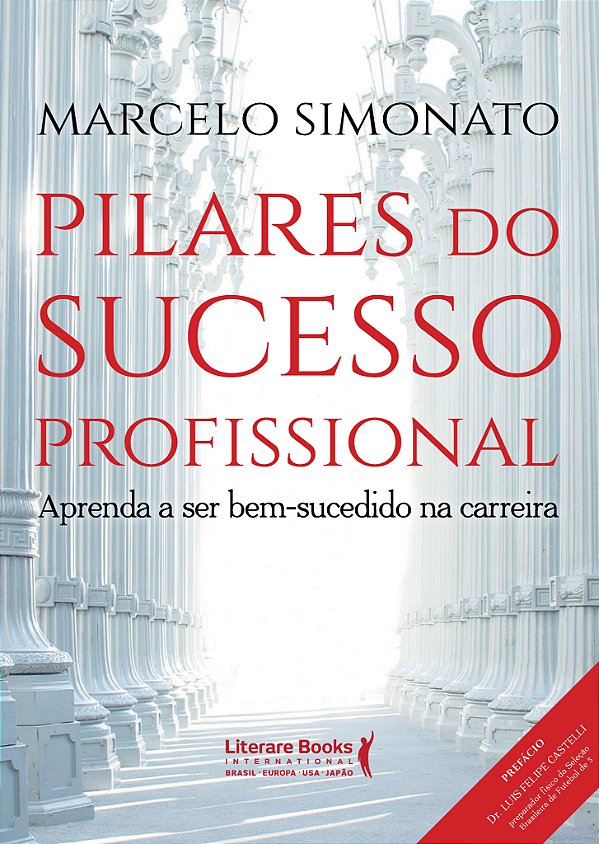 Livro Pilares do sucesso profissional