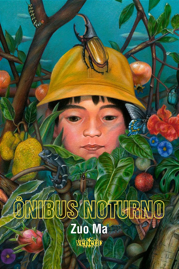 Livro Ônibus Noturno
