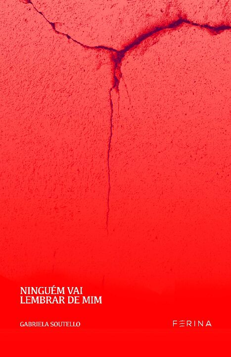 Livro Ninguém vai lembrar de mim
