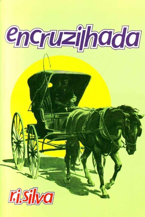 Livro Encruzilhada