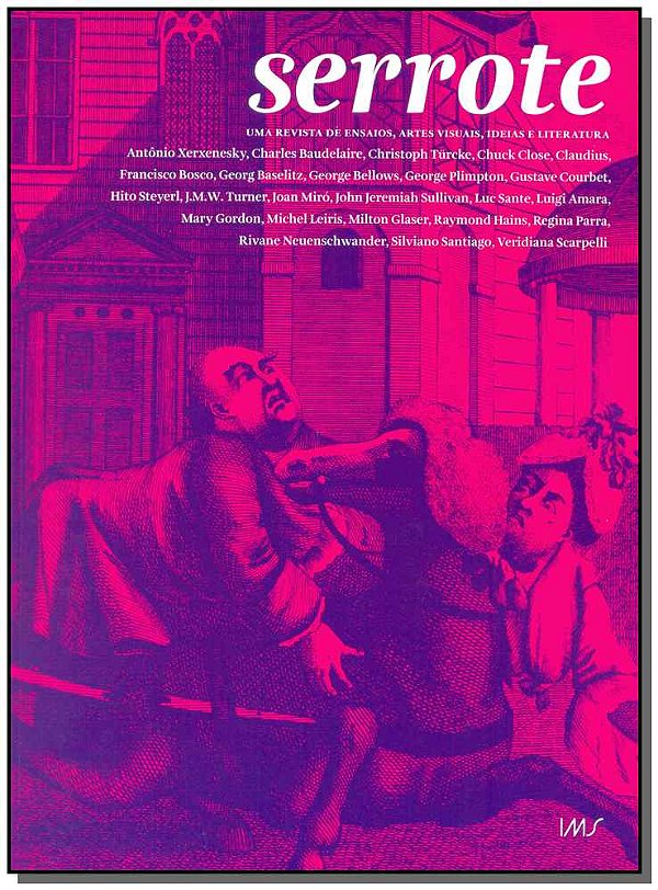 Livro Serrote - Vol.19
