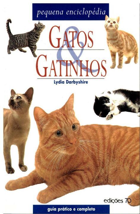 Livro Gatos e gatinhos: pequena enciclopédia