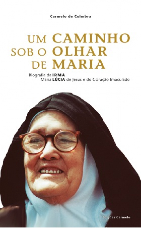 Livro Um Caminho Sob O Olhar De Maria