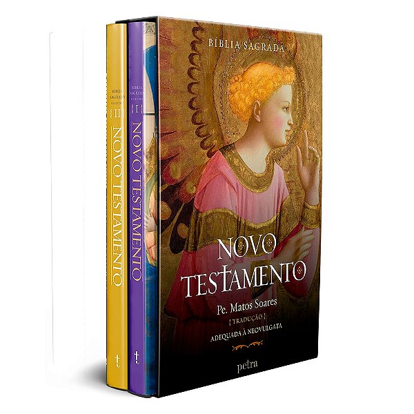 Box bíblia sagrada: novo testamento