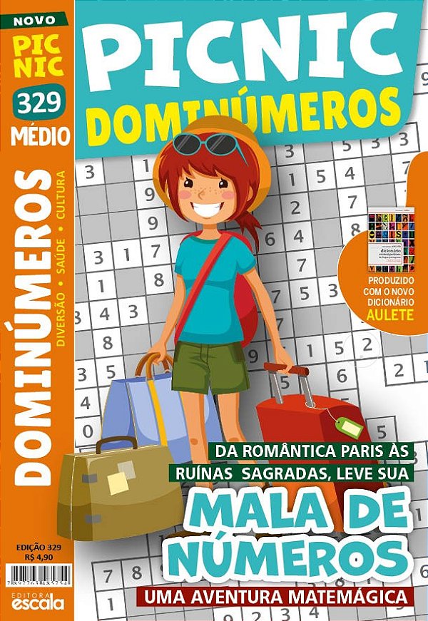 Picnic Diminúmeros - Mala de números - Médio: 329
