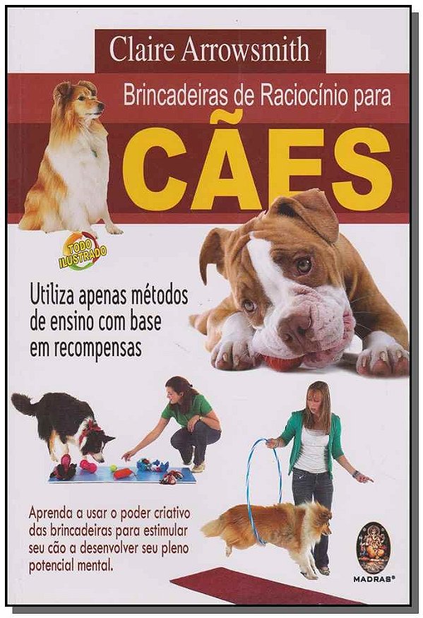 Brincadeiras de raciocínio para cães