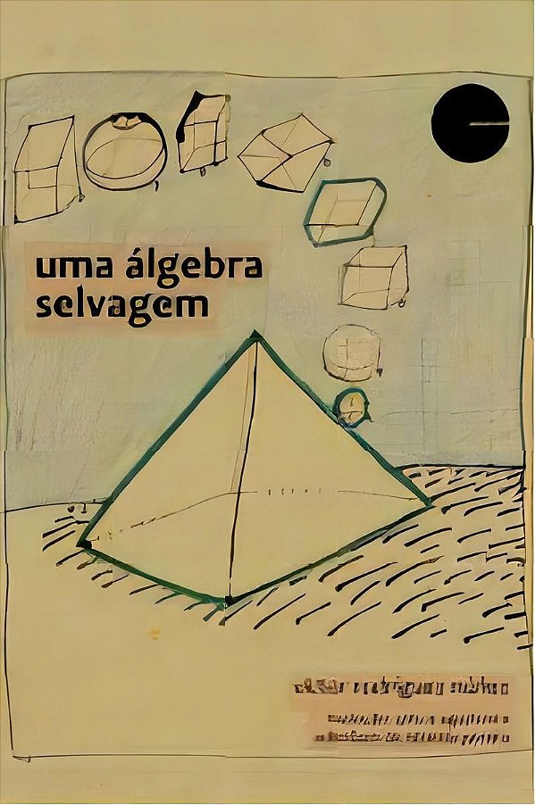 Uma Álgebra Selvagem
