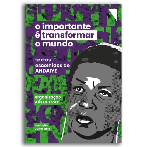 O importante é transformar o mundo: textos escolhidos de Andaiye